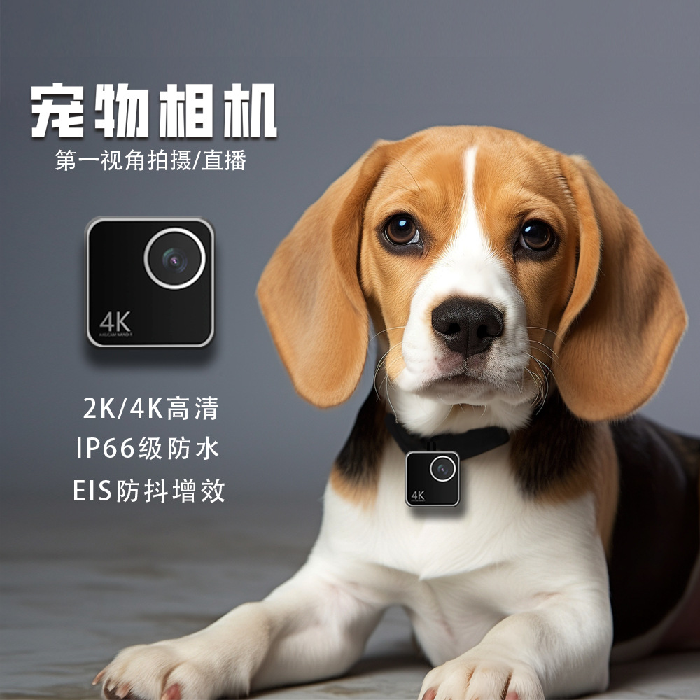 Cameras - Câmera inteligente para animais de estimação